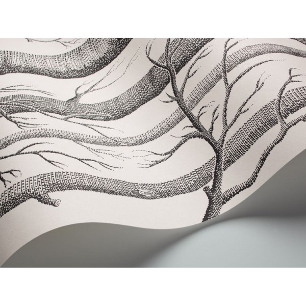 CARTA PARATI COLE & SON - WOODS - 69-12147
