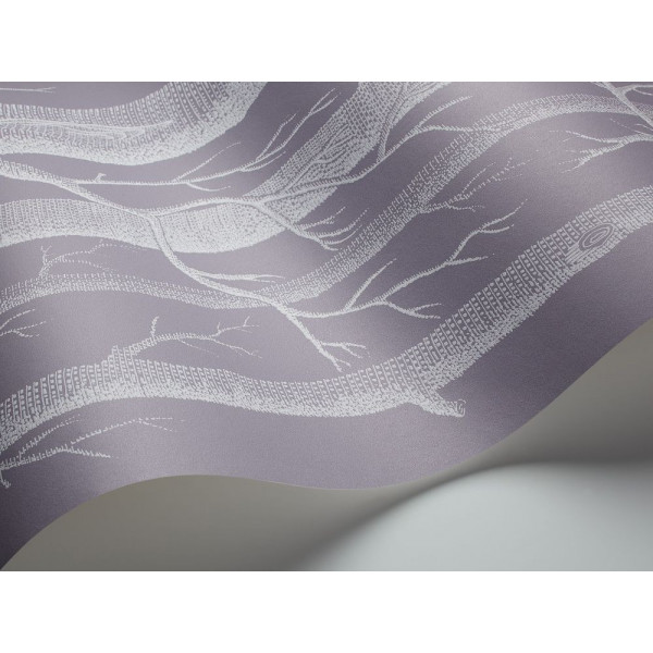 CARTA PARATI COLE & SON - WOODS - 69-12151