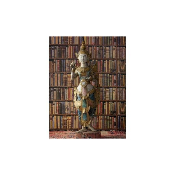CARTA PARATI ANDREW MARTIN - LIBRARY
