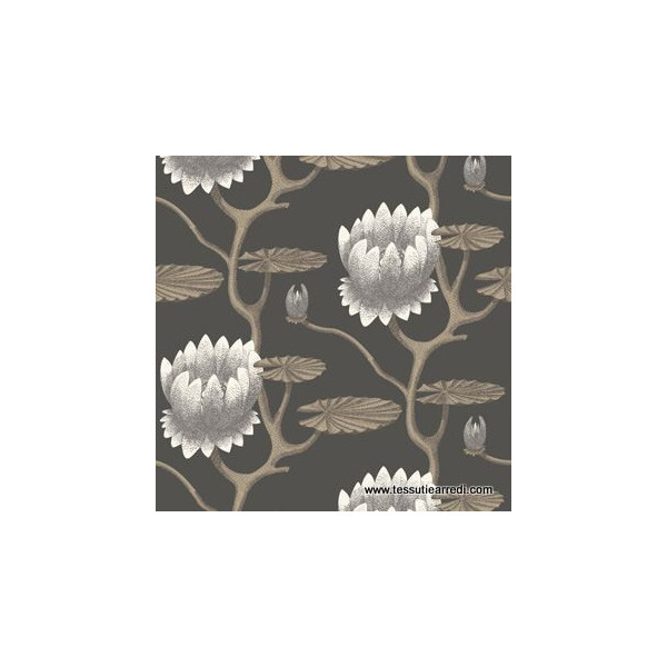 COLE & SON - SUMMER LILY - 95/4026 NERO