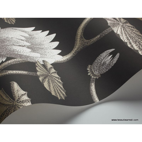 COLE & SON - SUMMER LILY - 95/4026 NERO