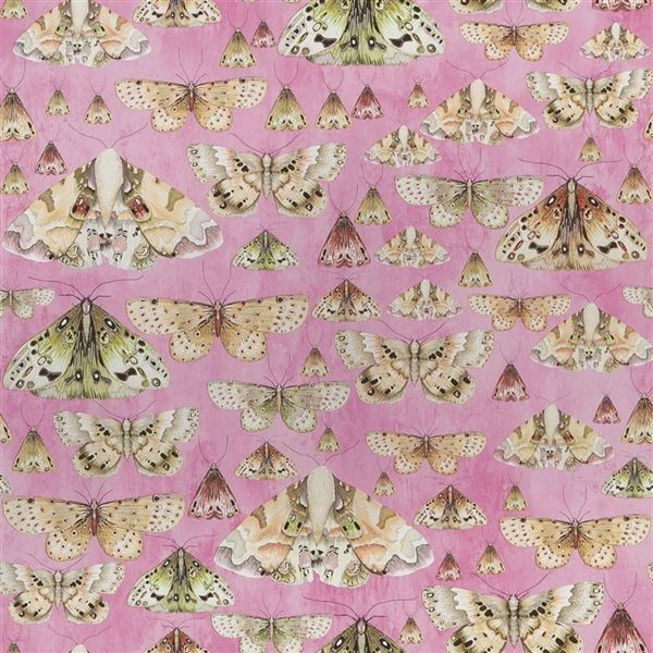 CARTA PARATI DESIGNERS GUILD - ISSORIA - PDG713/03 ROSE