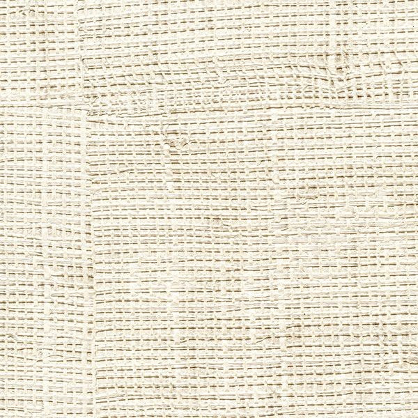 CARTA PARATI ELITIS - RAFFIA - VP 601 02 GESSO