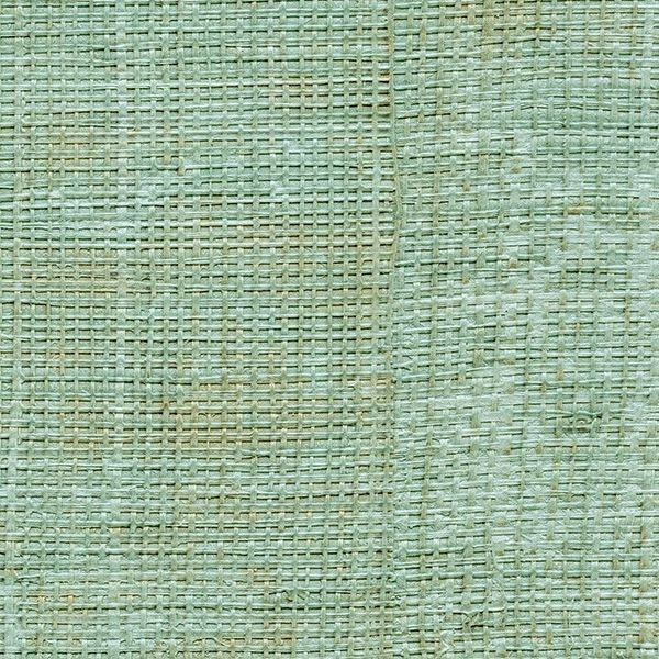 CARTA PARATI ELITIS - RAFFIA - VP 601 42 ACQUA
