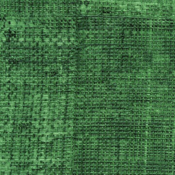 CARTA PARATI ELITIS - RAFFIA - VP 601 69 VERDE