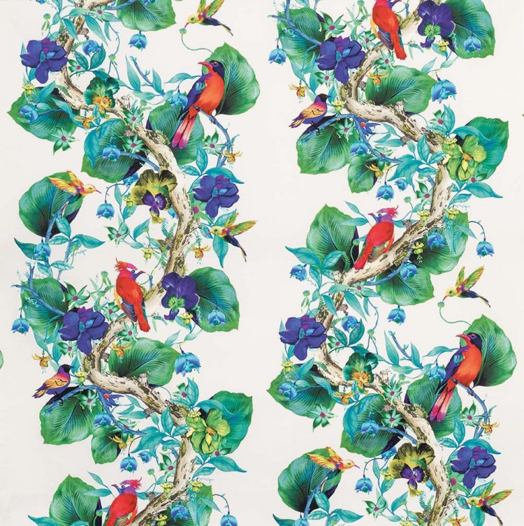 RAIN FOREST - F7013-01 VERDE