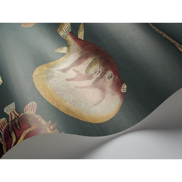 114/12024