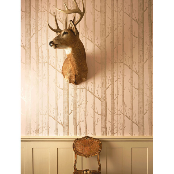 CARTA PARATI COLE&SON - WOODS