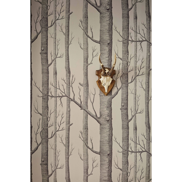 CARTA PARATI COLE&SON - WOODS
