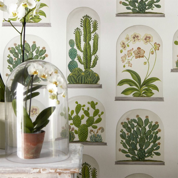 CARTA PARATI - SANDERSON - TERRARIUMS
