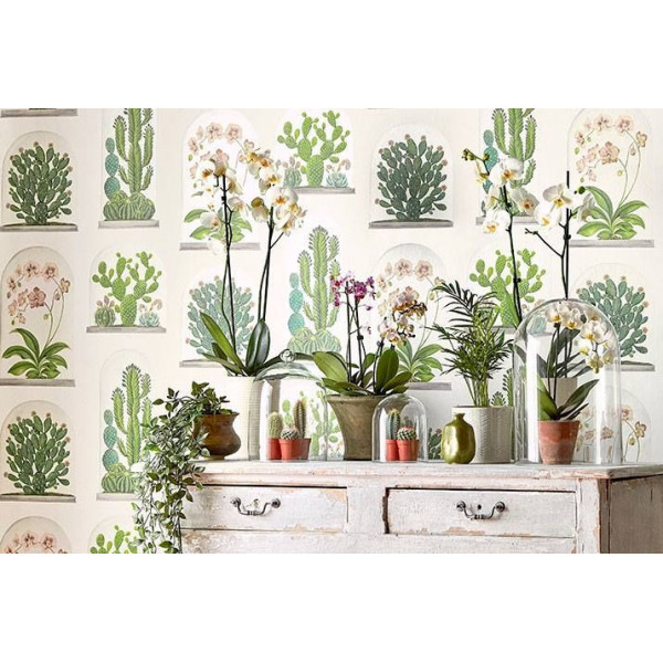 CARTA PARATI - SANDERSON - TERRARIUMS