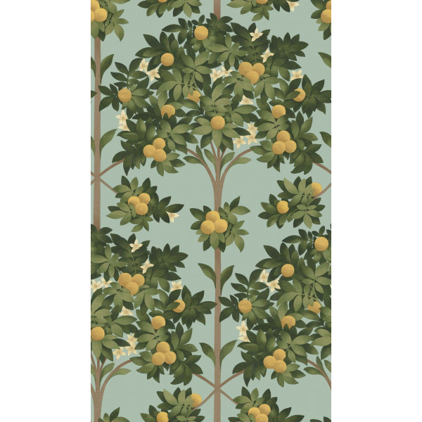 CARTA PARATI COLE&SON - ORANGE BLOSSOM