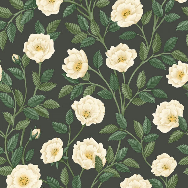 CARTA PARATI COLE & SON - HAMPTON ROSES