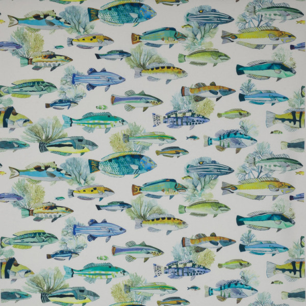 copy of CARTA PARATI CANOVAS -