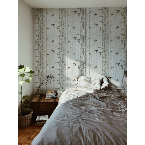 CARTA PARATI COORDONNE' - BIRCH TREES