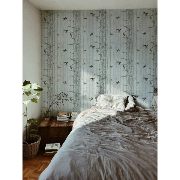 CARTA PARATI COORDONNE' - BIRCH TREES