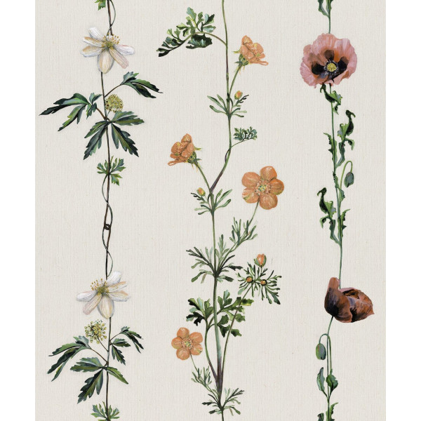 CARTA PARATI COORDONNE' - CLIMBING FLOWERS