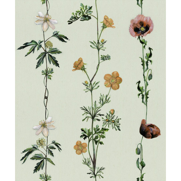 CARTA PARATI COORDONNE' - CLIMBING FLOWERS