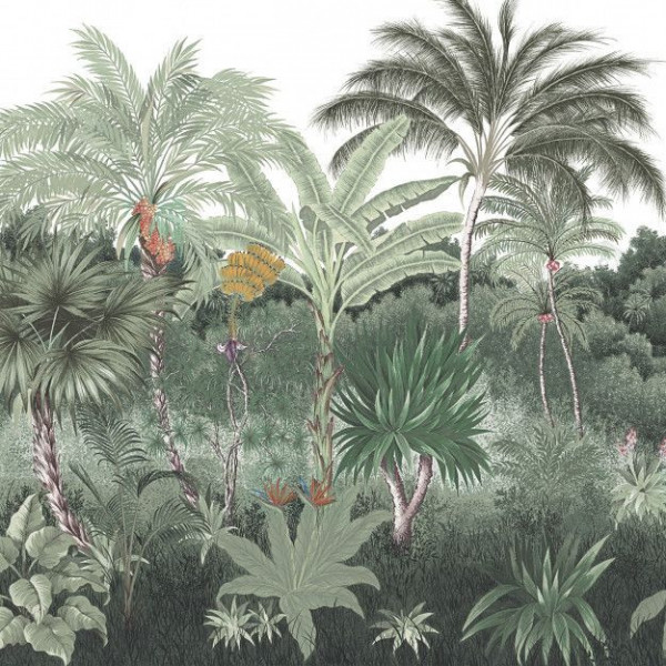 CARTA PANORAMICA - LES DOMINOTIERS - HANALEI