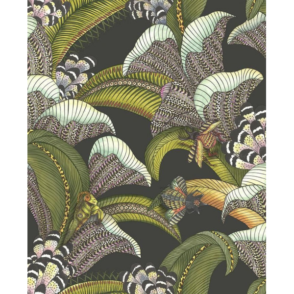 S119/1002