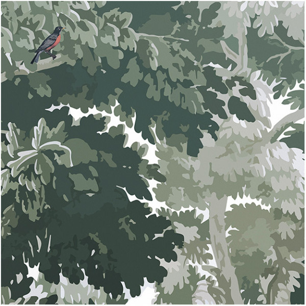 CARTA PANORAMICA - LES DOMINOTIERS - DREAM FOREST