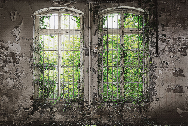 CARTA PANORAMICA - LES DOMINOTIERS - WINDOW GARDEN
