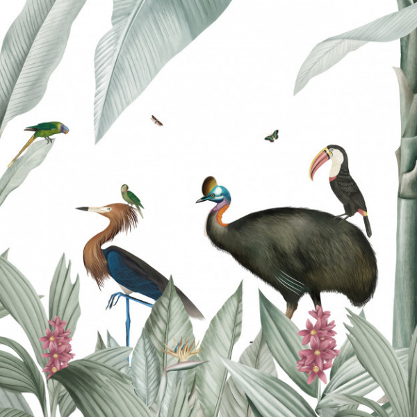 CARTA PANORAMICA - LES DOMINOTIERS - CASELA BIRDS