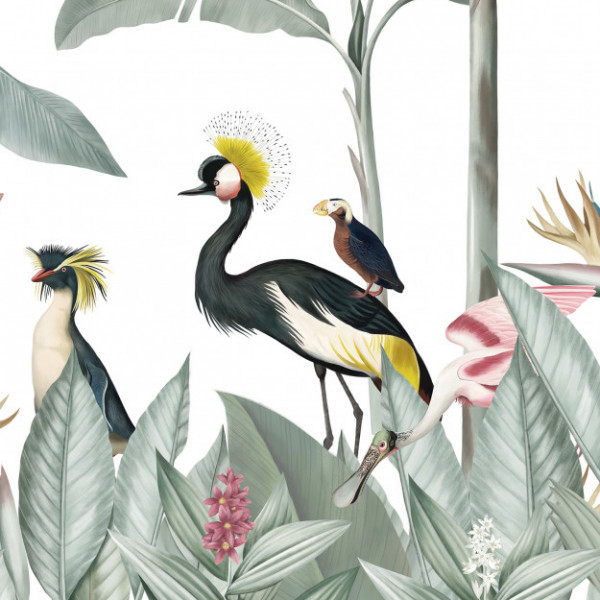 CARTA PANORAMICA - LES DOMINOTIERS - CASELA BIRDS