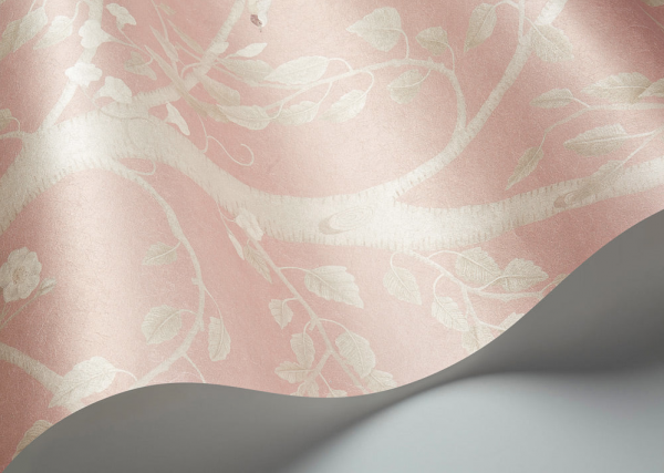CARTA PARATI COLE & SON - SEASONAL WOODS M
