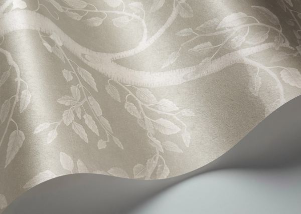 CARTA PARATI COLE & SON - SEASONAL WOODS M