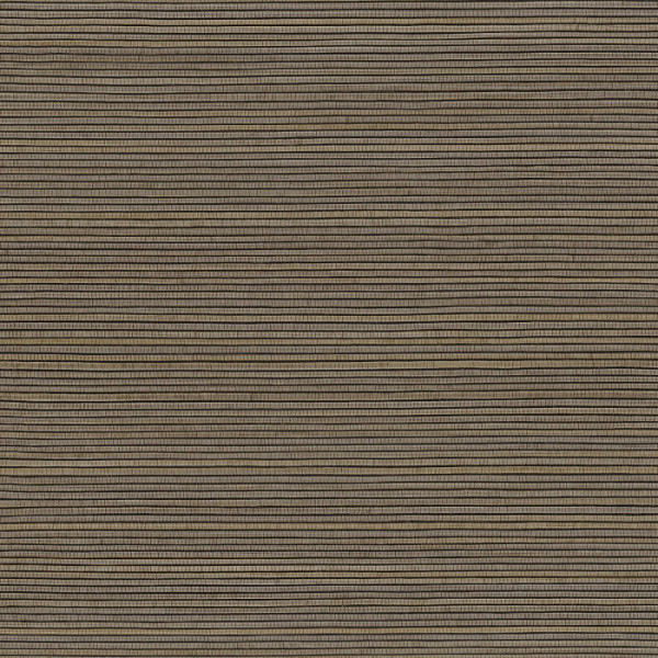 75360304