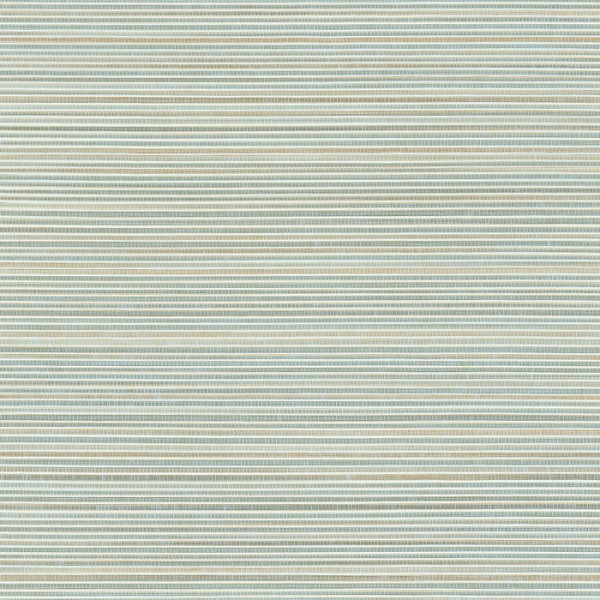 75360508