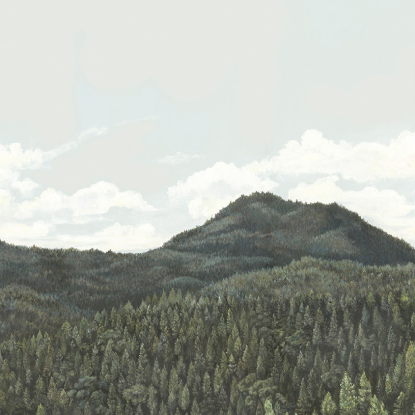 CARTA PARATI NOBILIS - CANOPY 2