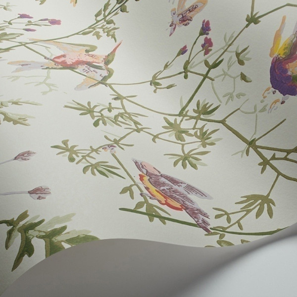 CARTA PARATI COLE & SON - HUMMINGBIRDS