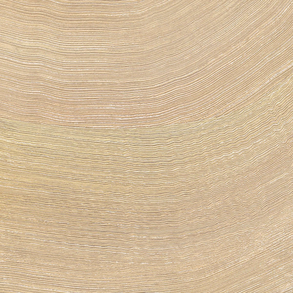 VP 1028 51