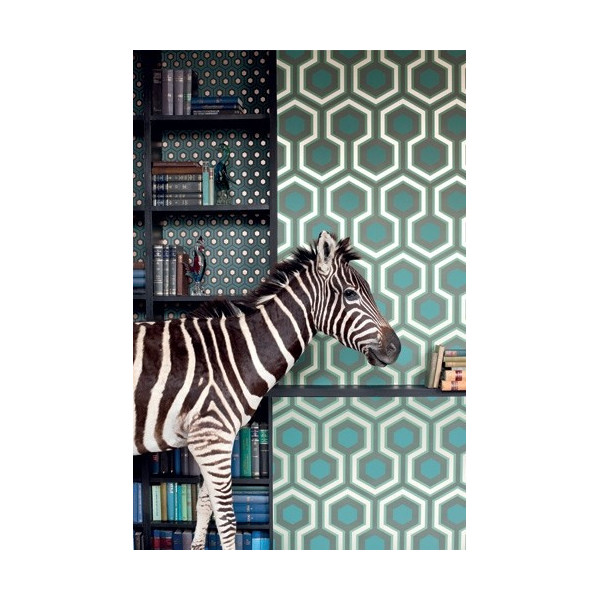 COLE & SON - CONTEMPORARY RESTYLED