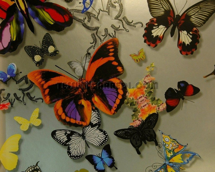 CHRISTIAN LACROIX - BUTTERFLY PARADE PCL008-05 PLATINE